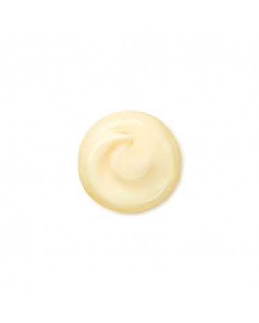 Shiseido BENEFIANCE Wrinkle Smoothing Cream Enriched 75ml