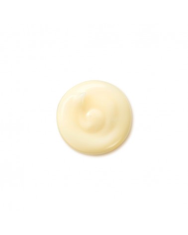 Shiseido BENEFIANCE Wrinkle Smoothing Cream 75ml
